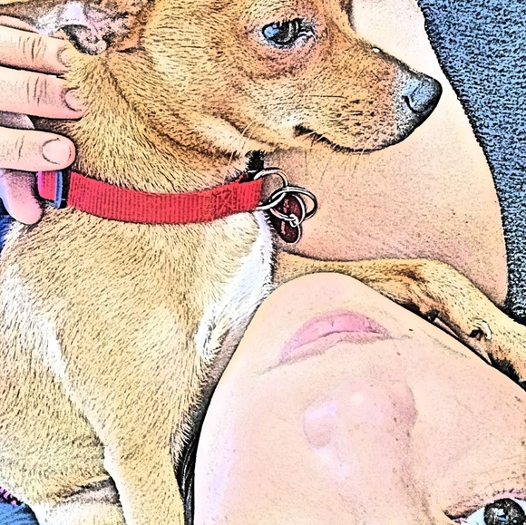 Meet your Posher, D&G - Picture 2 of 3